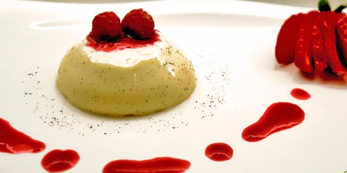 Low Carb Rezept (Süßspeise) - Panna Cotta mit Himbeeren